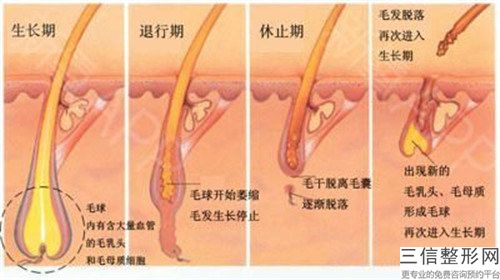 蘇州市整形毛發移植推薦這四個醫生-白立明醫生評價高