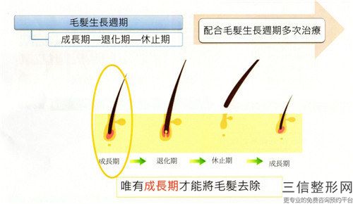 亳州市脫大腿毛排名榜前八-前十發(fā)布-排名靠前亳州市整形醫(yī)院