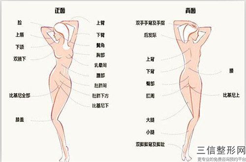 脫發了植發整容醫院推薦：脫發了植發醫院20強公立私立混排