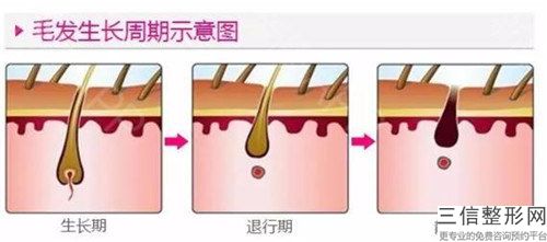 江西省無痕植發醫生在榜清單十強，誰也別想坑你-王靜整形醫生私立醫美更重口碑