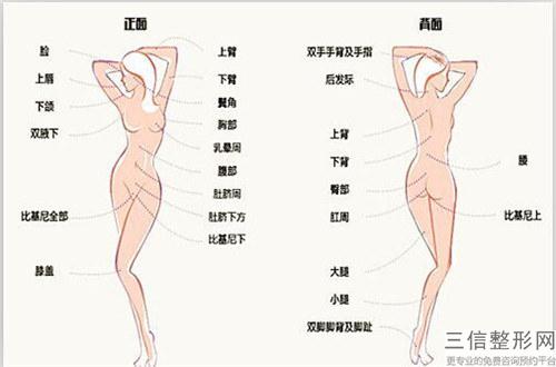 毛發(fā)移植的價位一般情況下在好多元呢